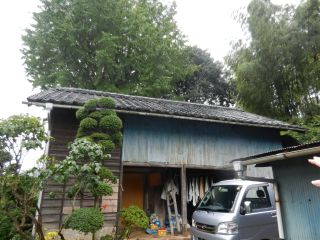 2014年4月18日 春霞じゃなかったのか_b0098584_164245.jpg