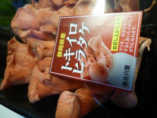 2014年4月18日 春霞じゃなかったのか_b0098584_1652526.jpg