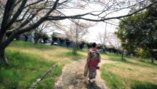 ぽかぽか陽気の中でかけた鹿野町....さすがに城跡の桜...._b0194185_18332263.jpg