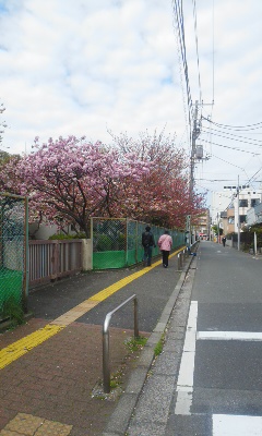 e0054290_93226.jpg