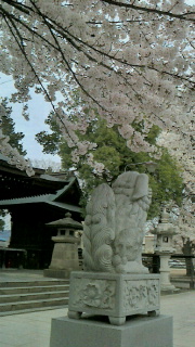 ぼっち花見 ~霞城公園・豊烈神社&香澄稲荷神社参拝・両所の宮参拝~_f0168392_18184703.jpg