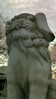ぼっち花見 ~霞城公園・豊烈神社&香澄稲荷神社参拝・両所の宮参拝~_f0168392_18215120.jpg