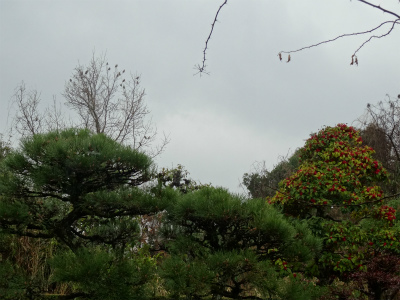 c0125501_21222168.jpg