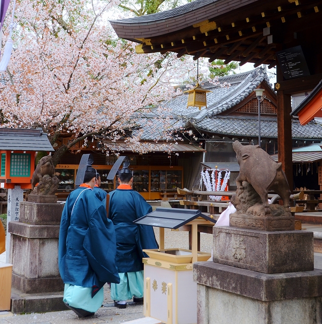 護王神社へ猪突猛進_a0169902_21533256.jpg