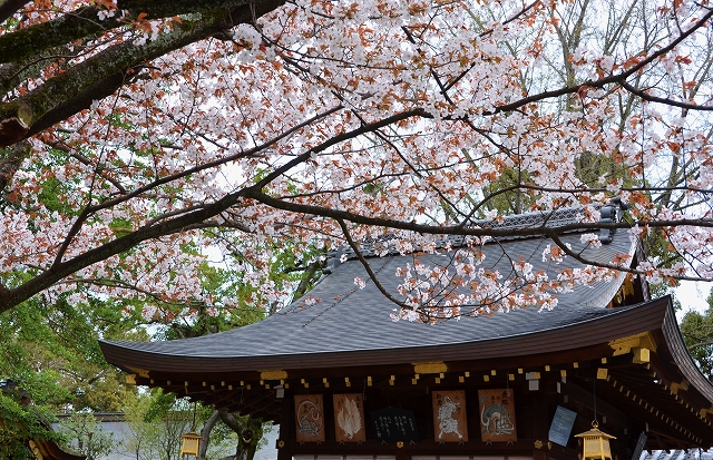 護王神社へ猪突猛進_a0169902_2153477.jpg