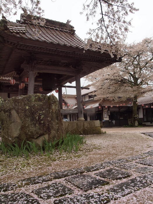 北広島の景色 さくら（超専寺）_c0116915_01093.jpg