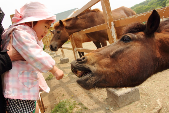 ふれあい写真コンテスト’13入賞_b0251929_14372665.jpg