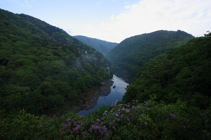 新緑の嵯峨野巡り －渡月橋～亀山公園－_b0169330_19433350.jpg