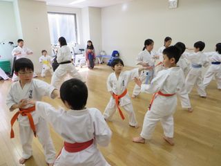 札幌市西区の宮の沢教室 3才からの武道教育_c0118332_17472510.jpg