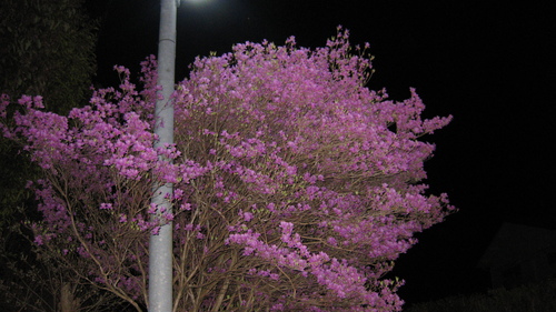 c0209334_22362367.jpg
