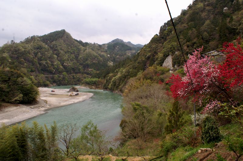 芽吹きの　天龍村へ_f0114346_752648.jpg