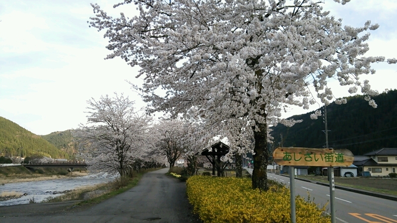 a0055650_051214.jpg