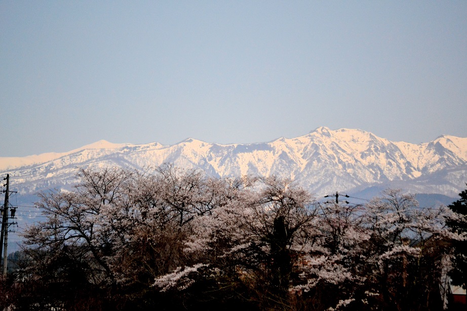 a0055650_222028.jpg