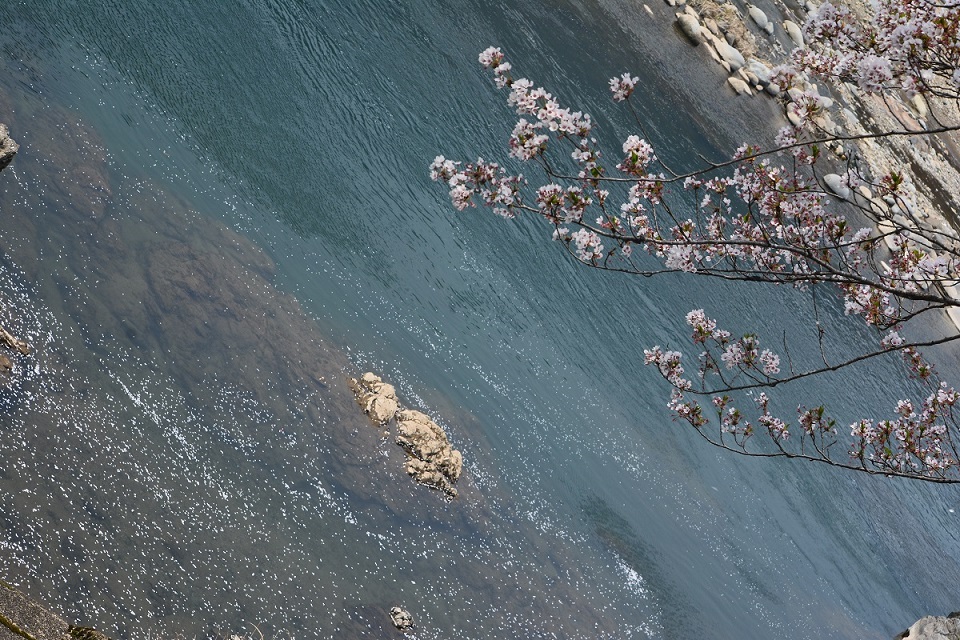 a0055650_231461.jpg