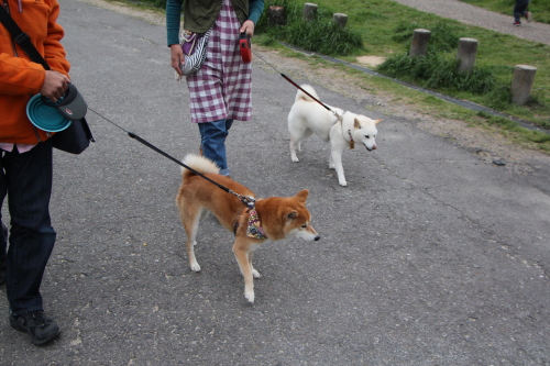 f0245650_07530216.jpg