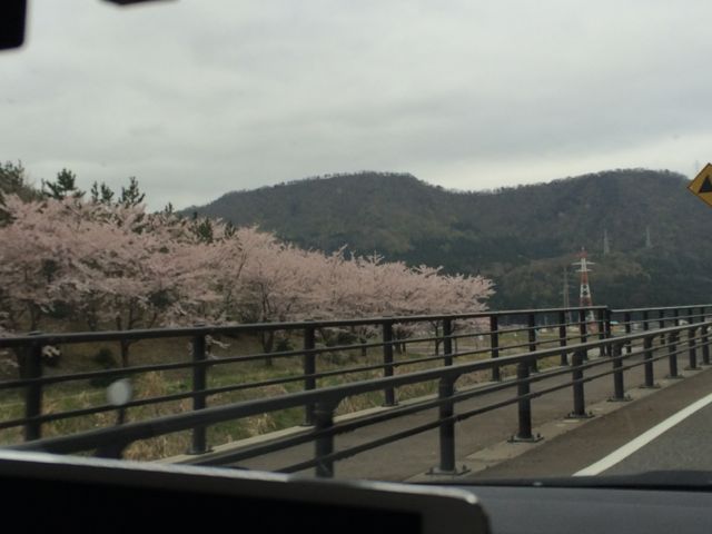 c0254151_1736148.jpg