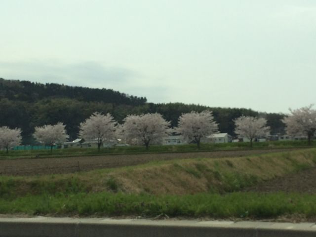 c0254151_173798.jpg