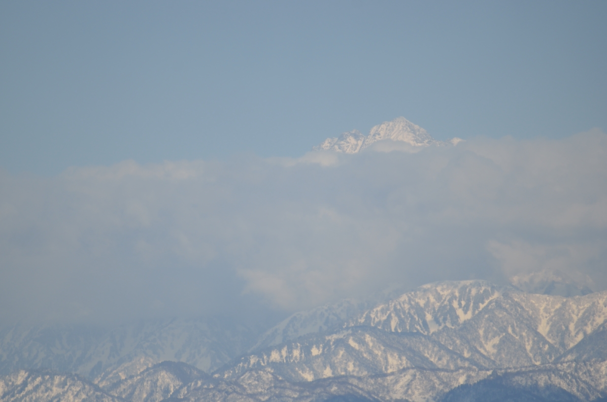 20140322 1/3 白鳥 富山県富山市婦中町_a0263952_8315491.jpg