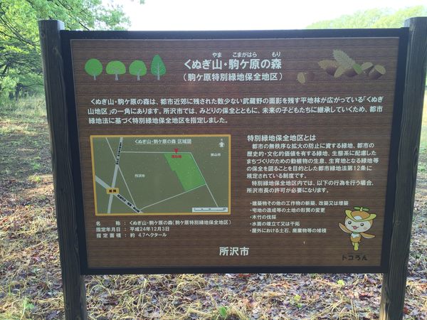 c0115660_15234787.jpg