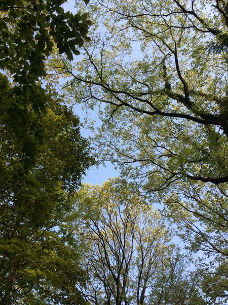 c0115660_15285595.jpg