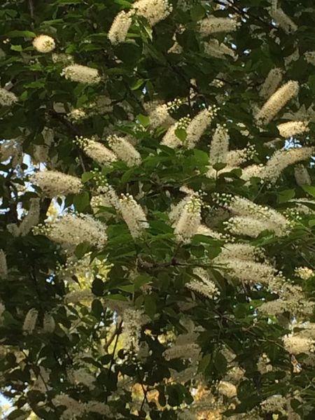 c0115660_15311380.jpg