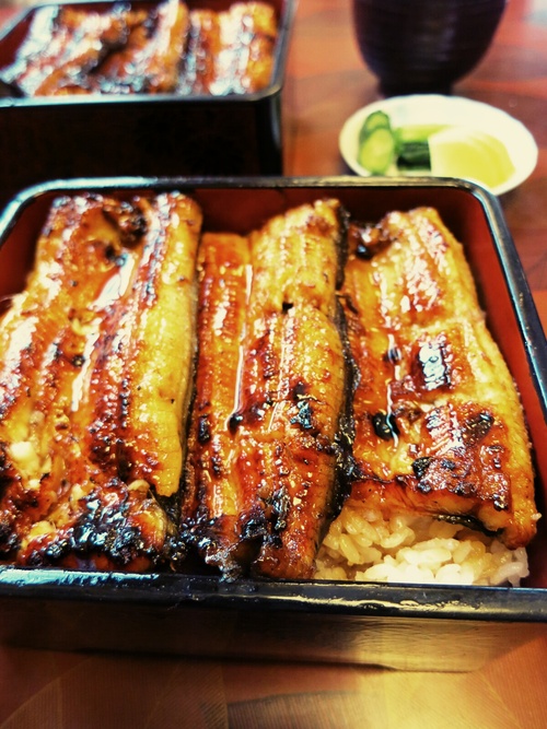 安くて美味しい鰻屋さん 藤舟 小諸 ぴきょログ 軽井沢でぐーたら生活
