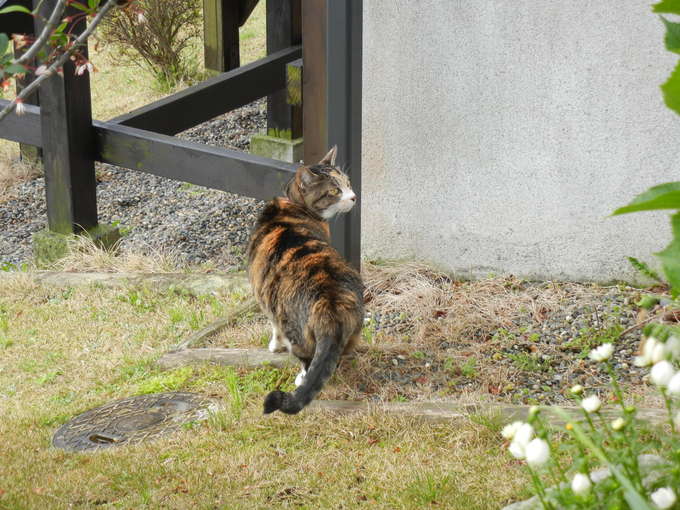 ’14,4,19(土)寒い日は着物を着て水彩画も~!_f0060461_1015333.jpg
