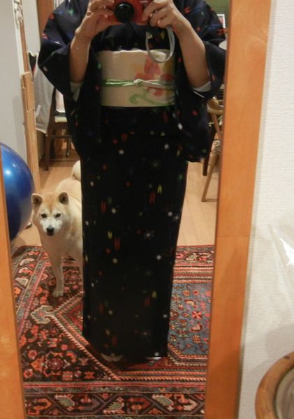 ’14,4,19(土)寒い日は着物を着て水彩画も~!_f0060461_10202685.jpg
