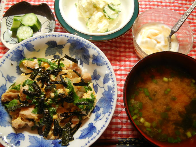 ’14,4,20(日)母に会いに行ってきます!_f0060461_20125520.jpg