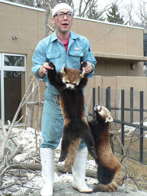 円山動物園へ_f0083977_11232080.jpg