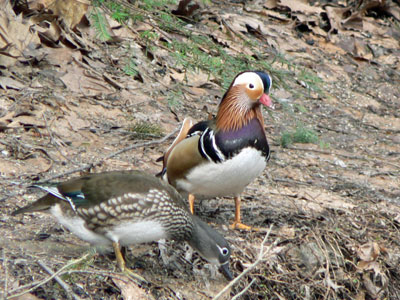 f0083977_1613692.jpg