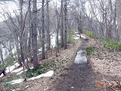 f0083977_20112761.jpg