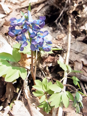f0083977_2012541.jpg