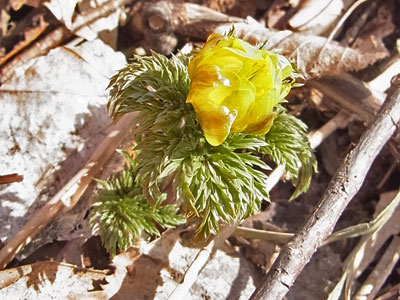 f0083977_2013476.jpg