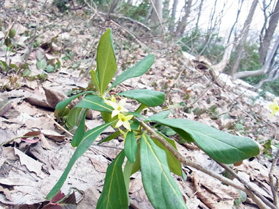 f0083977_20143119.jpg