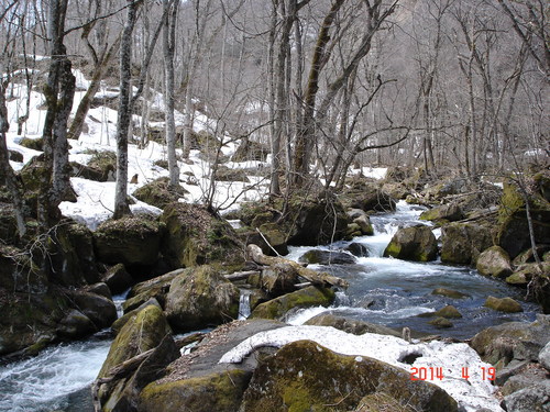 d0165378_19614.jpg