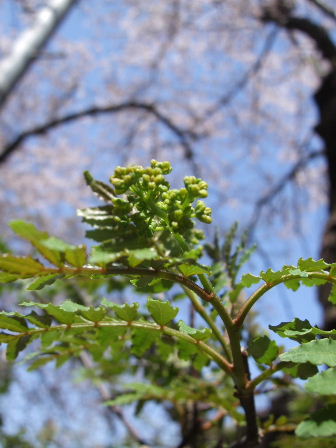 f0039281_0332912.jpg