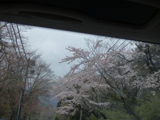 2014年4月19日 いまどきないでしょう?_b0098584_174460.jpg