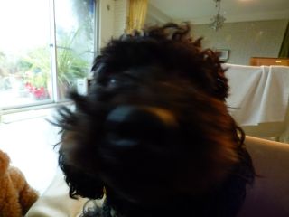 2014年4月19日 いまどきないでしょう?_b0098584_179238.jpg
