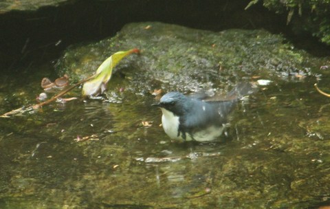 e0197884_755188.jpg