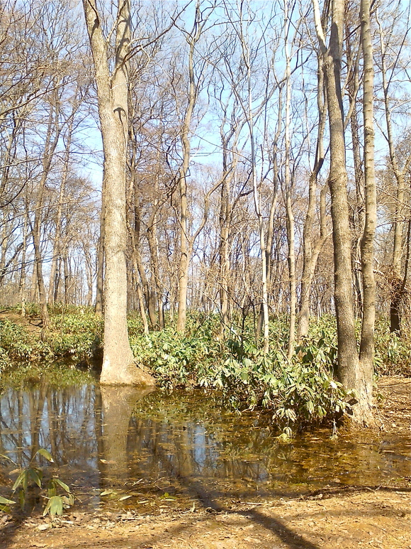 b0199097_13302625.jpg