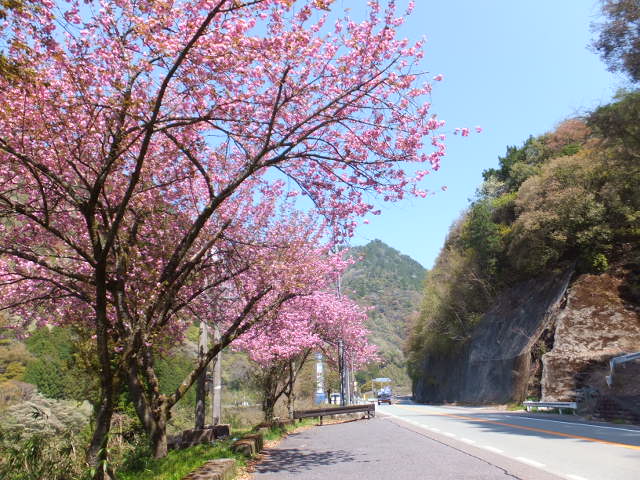 a0271502_22144635.jpg