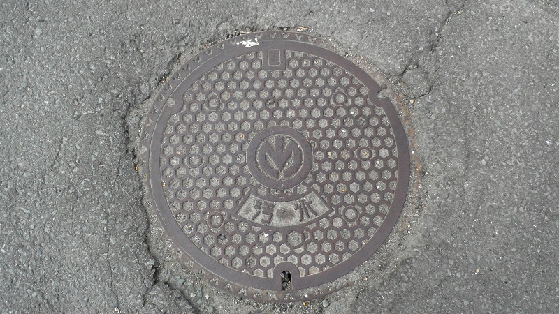e0304702_6511340.jpg