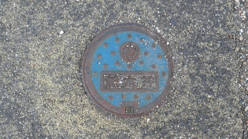 e0304702_6543038.jpg