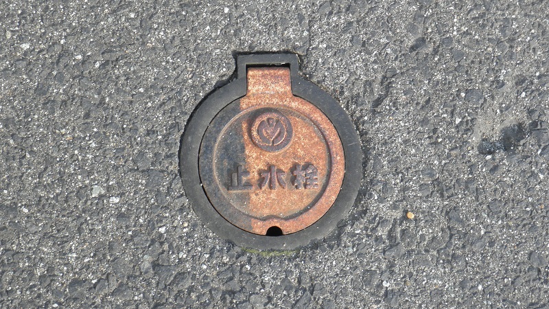 e0304702_655945.jpg