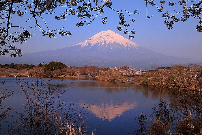 ”富士絶景の旅”　そのⅢ_a0140608_732470.jpg