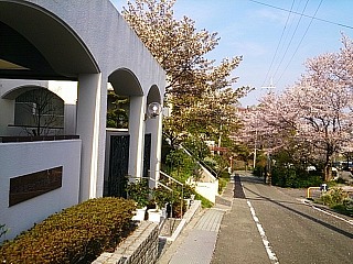 f0096508_20364047.jpg