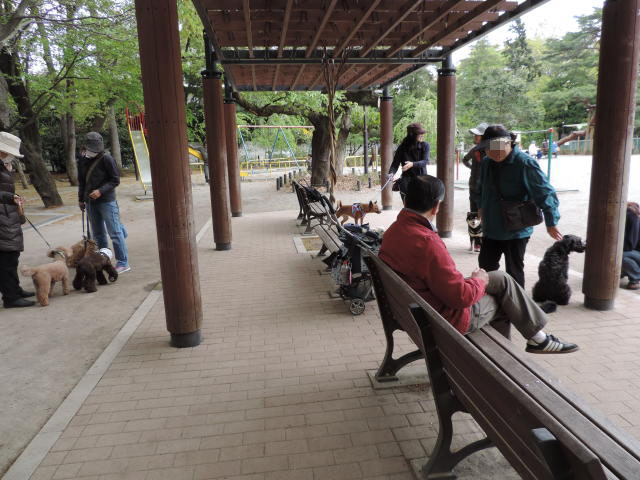 b0312810_16453534.jpg