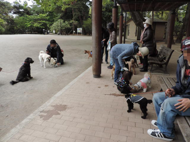 b0312810_1647811.jpg