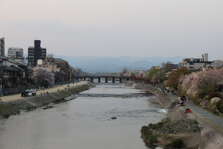 春の京都へ２０１４⑤　ビストロ「アスペルジュ　ブランシュ」_a0147813_211348.jpg